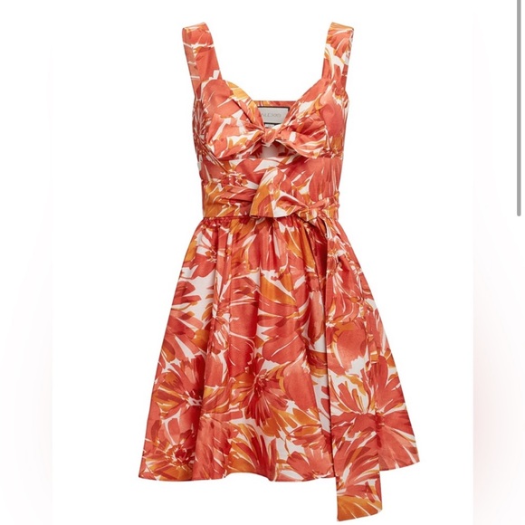 Alexis Dresses & Skirts - Alexis mini dress in orange floral